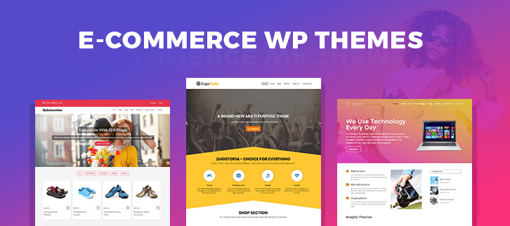 Install an Ecommerce Theme
